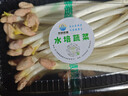 熱賣(mài)新鮮花生芽苗菜天然健康芽豆苗類(lèi)蔬菜 花生芽（250克±20克/盒） 4盒 曬單實(shí)拍圖