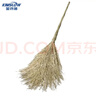 金詩(shī)洛（Kimslow）JM-0010 清潔竹掃帚 工地馬路掃把 環(huán)衛工竹子掃帚 竹枝連體 3.3斤(5把) 曬單實(shí)拍圖