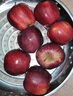 顧果鮮甘肅天水花牛蘋(píng)果當季新鮮蛇紅果寶寶老人輔食脆粉面刮泥蘋(píng)果禮盒 5斤裝凈重4.5斤 大果【單果80-85mm】 曬單實(shí)拍圖