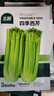 北蔬 西芹種子種苗芹菜四季小香芹蔬菜種籽 北蔬四季西芹種子10g 曬單實(shí)拍圖