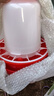 雞用飼料筒飲水器養雞自動(dòng)飲水器小雞鴨鵝喂食神器喝水壺食槽水槽 10斤水壺+10斤料筒【特厚組合】 曬單實(shí)拍圖