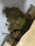 龜真壽 干苔蘚 150g 烏龜過(guò)冬墊材保溫保濕草龜巴西龜冬眠用品保暖苔蘚 曬單實(shí)拍圖