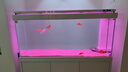 森森（SUNSUN）新款超白魚(yú)缸客廳玻璃大型水族箱智能觸控家用免換水底濾缸 加寬1.5米42寬 無(wú)極變光+新式底濾 烤漆白 曬單實(shí)拍圖