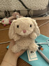 Jellycat米色甜美小兔小短腿公仔動(dòng)物毛絨玩偶娃娃送禮生日禮物 甜美小兔 One Size 曬單實(shí)拍圖