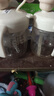 英氏（YEEHOO）兒童水杯嬰兒寶寶牛奶杯子吸管奶瓶1-3歲學(xué)飲杯吸管杯幼兒園 曬單實(shí)拍圖