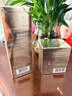 羽西鎏金套裝(明媚水+精華50ml+繃復霜50ml)保濕護膚品生日禮物送女友 曬單實(shí)拍圖