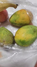 海南小臺甜心芒果臺農芒應季熱帶時(shí)令芒果水果整箱送禮 小臺芒凈重1.8-2斤單果60g+ 曬單實(shí)拍圖
