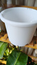 史丹利花盆家用樹(shù)脂塑料盆栽加厚多肉月季陽(yáng)臺庭院加侖盆象牙白高140mm 曬單實(shí)拍圖