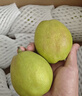 京鮮生 新疆庫爾勒香梨 凈重10斤 一級 單果100-120g 生鮮水果 曬單實(shí)拍圖