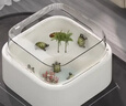 最萌烏龜缸家用造景創(chuàng  )意新款亞克力帶曬臺生態(tài)小型龜盆魚(yú)缸烏龜飼養缸 小號【21.5*21.5*14】套餐一 曬單實(shí)拍圖