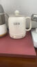 伯尼熊新型電燉杯恒溫保溫陶瓷釉?xún)饶懼蠡疱亼腥吮貍涠喙δ鼙銛y電飯煲 標準款0.8L 無(wú)茶漏濾網(wǎng) 0.8L 曬單實(shí)拍圖