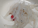 蘇城味道 銀魚(yú) 600g 冷凍淡水小銀魚(yú) 面條魚(yú)白飯魚(yú) 無(wú)骨無(wú)刺 寶寶輔食 曬單實(shí)拍圖