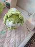 OSKV白菜狗玩偶毛絨玩具蔬菜精靈小狗娃娃女生生日禮物稀奇古怪小玩意 白菜狗玩偶【40cm】 曬單實(shí)拍圖