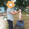 BKKBKK內德鉤NED加強不倒翁蘑菇頭鉛頭鉤黑坑浮水蝦野釣鱸魚(yú)鱖魚(yú)路亞 曬單實(shí)拍圖