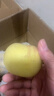 山東煙臺黃金奶油富士蘋(píng)果脆甜冰糖心很像維納斯蘋(píng)果 帶箱5斤凈4.5斤75果 曬單實(shí)拍圖