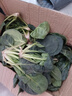 新鮮現挖菠菜河南霜打露天紅根菠菜青菜涮火鍋真便宜 2斤含箱 新鮮菠菜 曬單實(shí)拍圖
