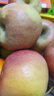 阿克蘇蘋(píng)果新疆阿克蘇冰糖心蘋(píng)果 時(shí)令蘋(píng)果水果 丑蘋(píng)果紅富士 10斤特級果85-99mm凈重8.5-9斤 曬單實(shí)拍圖