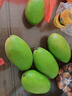 顧果鮮芒果新鮮廣西大青芒當季熱帶時(shí)令孕婦水果青皮甜心青芒果 9斤 精選特大果【單果400g+】 曬單實(shí)拍圖