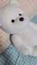 莉娜熊（TeddyTales）小熊玩偶毛絨玩具熊泰迪手作熊安撫娃娃送禮送人生日禮物送女生 奶白色（明星款） 中號站姿約30cm 曬單實(shí)拍圖