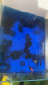 YEE亞甲基藍魚(yú)缸消毒殺菌觀(guān)賞魚(yú)錦鯉白點(diǎn)凈水爛身爛尾235ml 曬單實(shí)拍圖