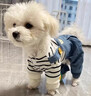 阿莫爾狗狗衣服可牽引四腳衣泰迪比熊博美小型犬薄款秋寵物季貓咪背帶褲 藍色小熊背帶褲【可牽引】 S 建議3-5斤 具體參考尺碼表 曬單實(shí)拍圖