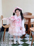 G.duck小黃鴨洛麗塔公主裙女童連衣裙春秋裝美樂(lè )蒂兒童生日禮服蓬蓬裙子 美樂(lè )蒂裙子加拖尾 100 100碼建議90-100cm3-4歲 曬單實(shí)拍圖