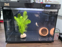 森森金麟超白玻璃魚(yú)缸一體缸自循環(huán)客廳小型LEA-380黑色 曬單實(shí)拍圖