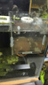 勛貍粑魚(yú)缸隔離盒亞克力孔雀魚(yú)繁殖盒烏龜魚(yú)苗斗魚(yú)熱帶魚(yú)幼魚(yú)小魚(yú)孵化盒 單格15*10*10(吸盤(pán)+掛鉤) 曬單實(shí)拍圖