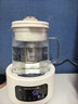 摩飛電器（Morphyrichards）全玻璃養生壺1.5升恒溫壺燒水壺熱水壺家用多功能煮茶壺0膠水0拼接風(fēng)冷降溫甜品燕窩MR5606 曬單實(shí)拍圖
