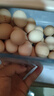 京鮮生海蘭白殼谷物鮮雞蛋 30枚/盒 3.3斤 源頭直發(fā) 曬單實(shí)拍圖