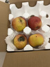 芬嵐云南昭通冰糖心丑蘋(píng)果【多地次日達】野生蘋(píng)果脆甜水果整箱年貨 凈重5斤嚴選果【單果70MM+】 曬單實(shí)拍圖