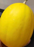 金香玉冰糖蜜瓜 約1.2kg 曬單實(shí)拍圖