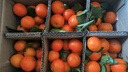 【甜過(guò)初戀】廣西金秋砂糖橘火爆上市，果園現摘48小時(shí)內新鮮到家 砂糖橘果王（40mm以上） 5斤 曬單實(shí)拍圖
