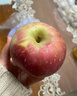 蜜語(yǔ)桃緣正宗山東紅富士蘋(píng)果 脆甜新鮮時(shí)令水果整箱 整箱10斤 單果75-85mm凈重8.5斤+ 曬單實(shí)拍圖