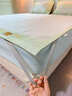 VJE夏天冰絲涼席藤席2026新款夏季軟席子床笠可水洗草席竹席嬰兒可用 帕帕狗-綠色【嬰幼兒可用 A類(lèi)抗菌】 三件套 150cm*200cm 席子+枕套兩只 曬單實(shí)拍圖