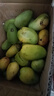 京喜加海南臺芒新鮮芒果生鮮水果時(shí)令鮮果 凈重9斤70+ 曬單實(shí)拍圖