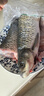 鮮活放心草魚(yú)1-1.25kg/條 曬單實(shí)拍圖