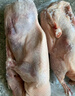 農家散養土鴨老鴨麻鴨新鮮鴨生鴨肉鴨子鮮鴨水養鴨整鴨 土鴨 買(mǎi)一只送一只 共4.8斤(無(wú)爪翅） 曬單實(shí)拍圖