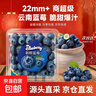 云南藍莓新鮮藍莓時(shí)令當季特大果花香新鮮水果輔食水果當應季整箱 罕見(jiàn)特大果【單果22mm+】 4盒小份裝【70g/盒】 曬單實(shí)拍圖