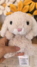 Jellycat米色甜美小兔小短腿公仔動(dòng)物毛絨玩偶娃娃送禮生日禮物 甜美小兔 One Size 曬單實(shí)拍圖