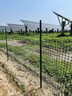 金絲銀網(wǎng) 塑料網(wǎng)圍欄網(wǎng)養殖網(wǎng)養雞圍欄網(wǎng)果園菜園圍欄網(wǎng)格防護隔離柵欄圍 2.0米高50米長(cháng)+扎帶 3厘米孔4.5mm厚【圈玉米蔬菜】 曬單實(shí)拍圖