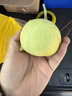 探味先生【順豐送貨上門(mén)】山東馬連莊甜瓜小香瓜萊西特產(chǎn)送禮彩箱新鮮水果 凈重4斤裝【新鮮采摘 現摘現發(fā)】 曬單實(shí)拍圖
