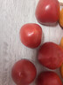 密水農家密云本地新鮮沙瓤西紅柿 番茄 生鮮 蔬菜兒時(shí)味道 西紅柿 2000g 曬單實(shí)拍圖