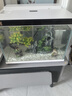 森森（SUNSUN）金麟超白魚(yú)缸桌面生態(tài)免換水金魚(yú)缸一體缸自循環(huán) 【森森金麟】380 白色尊享版 曬單實(shí)拍圖