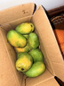 海南三亞小臺農大果當季臺農芒芒果皮薄肉厚純甜無(wú)絲爆汁【活動(dòng)】 單果60g+（帶箱子2斤）凈重1.5-1.8斤 曬單實(shí)拍圖