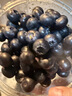 旭霽云南花香藍莓【多地次日達】國產(chǎn)新鮮L25花香藍莓水果生鮮送禮 罕見(jiàn)果王【單果20mm+】 4盒實(shí)惠裝【100-125g/盒】 曬單實(shí)拍圖