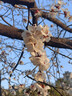 羅蒙（ROMON）冰絲涼感短袖t恤男士夏季新款中青年商務(wù)休閑高端翻領(lǐng)POLO上衣 5T509501天藍(lán) L 170（建議115-130斤） 曬單實拍圖