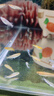 觀(guān)背青鳉淡水觀(guān)賞魚(yú)魔法魚(yú)冷水魚(yú)小錦鯉不打氧不加溫活體寵物包郵 混搭全星光2-3cm10條+2防損 曬單實(shí)拍圖