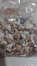 天然海螺貝殼  精選浮翠流砂貝寶螺手工diy材料魚(yú)缸底砂造景裝飾 小螺組合100克 約400顆 曬單實(shí)拍圖