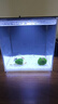 YEE魚(yú)缸一體式成品桌面水族魚(yú)缸客廳辦公室小型超迷你生態(tài)水族箱 迷你桌面缸 L 無(wú)規格 曬單實(shí)拍圖